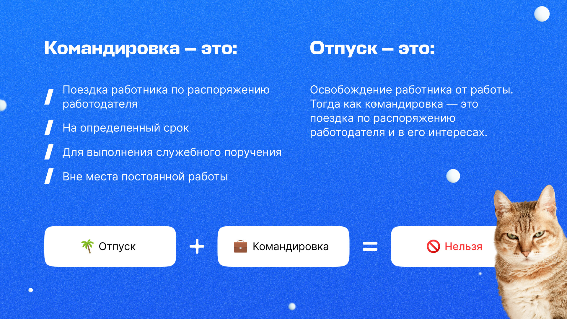 Как оформить командировку, если она совмещается с отпуском — База знаний −  Авиасейлс для бизнеса